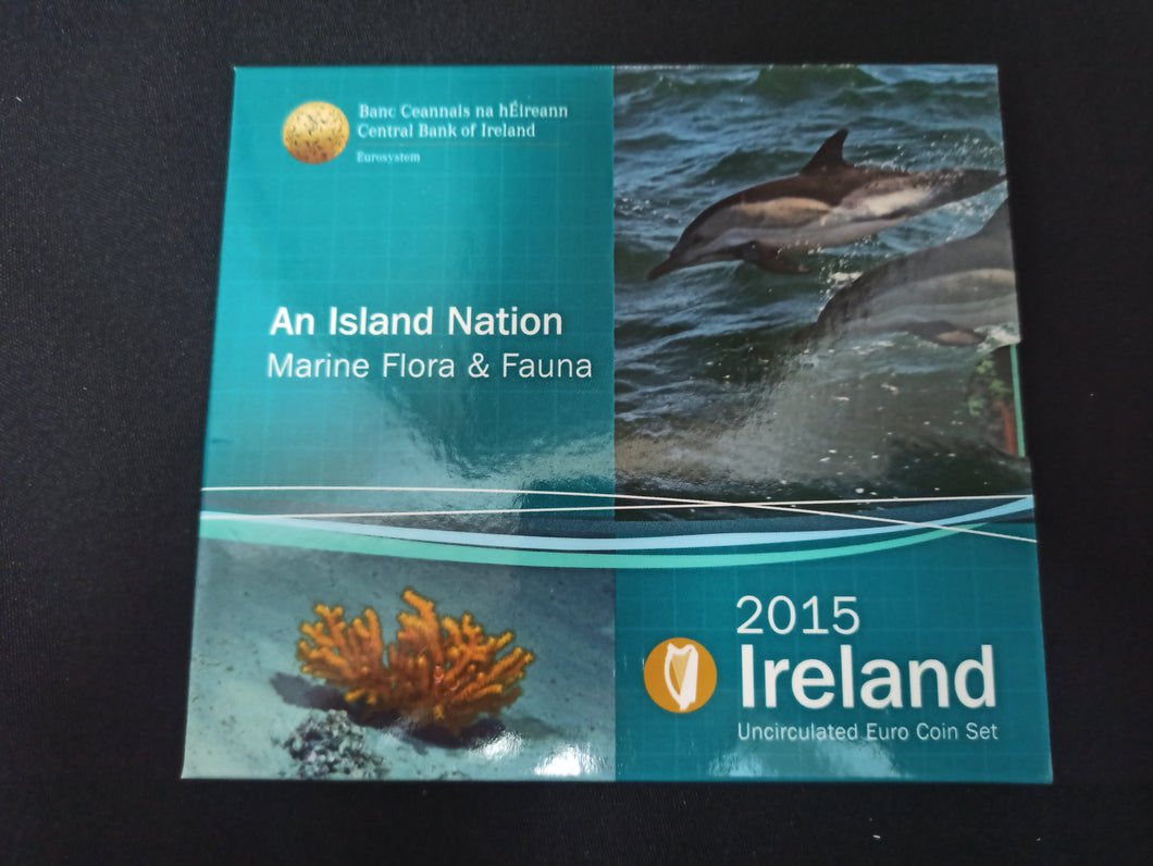 BU Irlande 2015