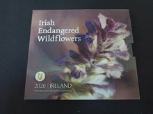 Charger l&#39;image dans la galerie, BU Irlande 2020
