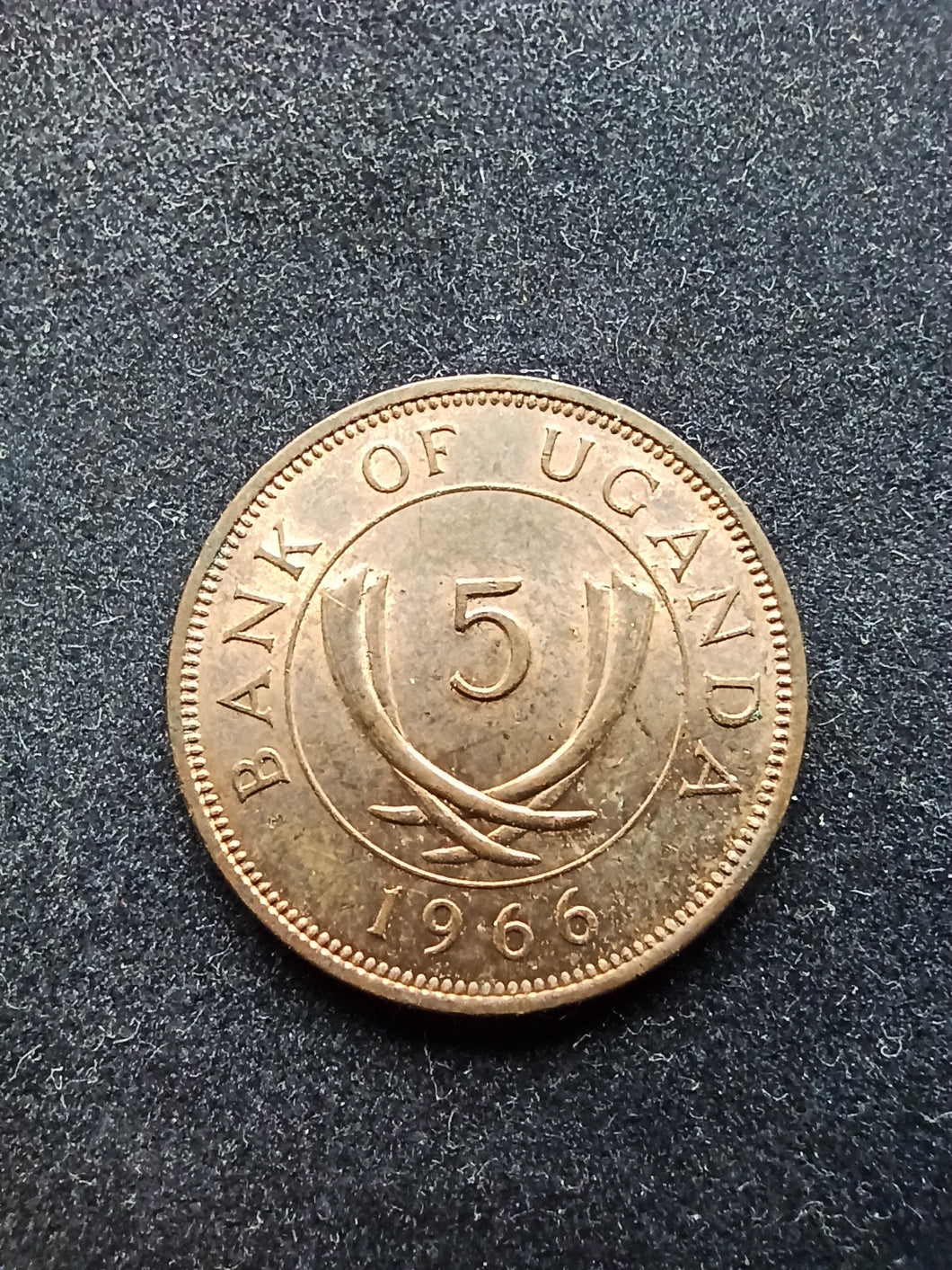 Uganda : 5 Cents 1966 ; Qualité
